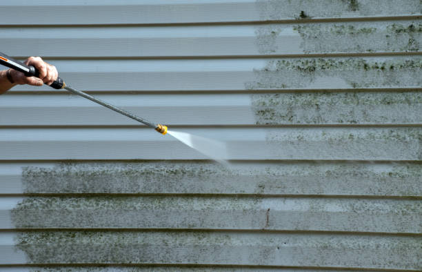 Best Bathroom Mold Remediation in High Bridge, WA