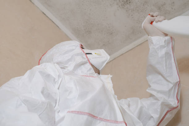 Best Emergency Mold Remediation in High Bridge, WA